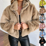 Nukty Rabbit Fur Imitation Fur Zipper Plush Warm Jacket Long Sleeve Short Coat Winter Women Crop Top Casual Solid New In Outwear Pink